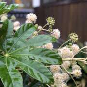 ヒメ日記 2025/05/09 10:57 投稿 ひより 完熟ばなな神戸・三宮店