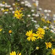 ヒメ日記 2025/05/14 09:48 投稿 ひより 完熟ばなな神戸・三宮店