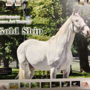 ヒメ日記 2025/12/22 17:34 投稿 ひより 完熟ばなな神戸・三宮店