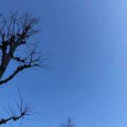 ヒメ日記 2025/12/28 10:50 投稿 ひより 完熟ばなな神戸・三宮店