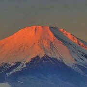 ヒメ日記 2026/01/01 16:45 投稿 ひより 完熟ばなな神戸・三宮店