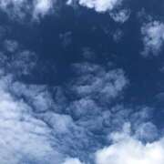 ヒメ日記 2026/01/22 11:03 投稿 ひより 完熟ばなな神戸・三宮店