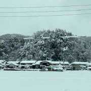 ヒメ日記 2026/02/02 11:44 投稿 ひより 完熟ばなな神戸・三宮店