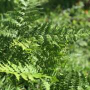 ヒメ日記 2026/02/03 10:59 投稿 ひより 完熟ばなな神戸・三宮店