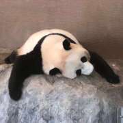 ヒメ日記 2026/03/16 10:57 投稿 ひより 完熟ばなな神戸・三宮店