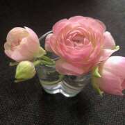 ヒメ日記 2026/03/31 14:58 投稿 ひより 完熟ばなな神戸・三宮店