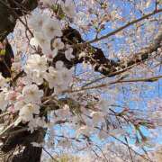 ヒメ日記 2026/04/11 09:22 投稿 ひより 完熟ばなな神戸・三宮店
