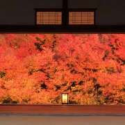 ヒメ日記 2026/10/09 12:30 投稿 ひより 完熟ばなな神戸・三宮店