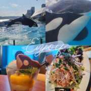 ヒメ日記 2025/02/20 00:38 投稿 南ショコラ きゃんでぃドロップス