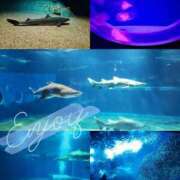 ヒメ日記 2025/03/22 00:00 投稿 南ショコラ きゃんでぃドロップス