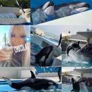 ヒメ日記 2025/05/18 01:28 投稿 南ショコラ きゃんでぃドロップス