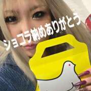 ヒメ日記 2025/12/28 23:31 投稿 南ショコラ きゃんでぃドロップス