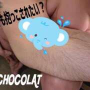 ヒメ日記 2026/04/29 13:31 投稿 南ショコラ きゃんでぃドロップス