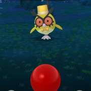 ヒメ日記 2024/12/31 03:34 投稿 えりな コートダジュール