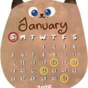 ヒメ日記 2025/01/11 14:58 投稿 Reiko Igawa ELEGANT－エレガント－