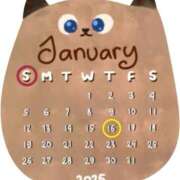 ヒメ日記 2025/01/14 14:26 投稿 Reiko Igawa ELEGANT－エレガント－