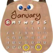 ヒメ日記 2025/01/23 15:45 投稿 Reiko Igawa ELEGANT－エレガント－