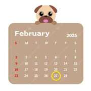 ヒメ日記 2025/02/20 09:12 投稿 Reiko Igawa ELEGANT－エレガント－