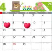 ヒメ日記 2025/03/31 15:36 投稿 Reiko Igawa ELEGANT－エレガント－