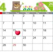 ヒメ日記 2025/04/11 16:29 投稿 Reiko Igawa ELEGANT－エレガント－