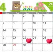 ヒメ日記 2025/04/18 20:14 投稿 Reiko Igawa ELEGANT－エレガント－