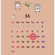 ヒメ日記 2025/11/05 10:17 投稿 Reiko Igawa ELEGANT－エレガント－