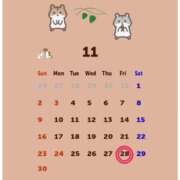 ヒメ日記 2025/11/19 10:43 投稿 Reiko Igawa ELEGANT－エレガント－