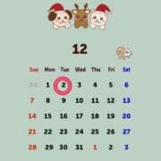 ヒメ日記 2025/11/27 11:21 投稿 Reiko Igawa ELEGANT－エレガント－