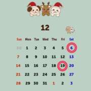 ヒメ日記 2025/12/03 15:04 投稿 Reiko Igawa ELEGANT－エレガント－