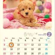 ヒメ日記 2026/02/01 17:00 投稿 Reiko Igawa ELEGANT－エレガント－