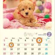 ヒメ日記 2026/02/02 16:59 投稿 Reiko Igawa ELEGANT－エレガント－