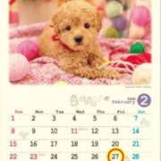 ヒメ日記 2026/02/09 22:44 投稿 Reiko Igawa ELEGANT－エレガント－