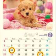 ヒメ日記 2026/02/11 12:11 投稿 Reiko Igawa ELEGANT－エレガント－