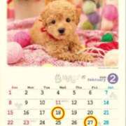 ヒメ日記 2026/02/16 22:22 投稿 Reiko Igawa ELEGANT－エレガント－