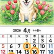 ヒメ日記 2026/04/06 07:42 投稿 Reiko Igawa ELEGANT－エレガント－