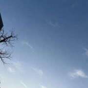 ヒメ日記 2025/04/03 18:10 投稿 コトノ 広島で評判のお店はココです！