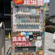 ヒメ日記 2025/05/08 19:29 投稿 志乃 横浜関内人妻城