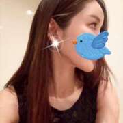 ヒメ日記 2025/02/12 22:17 投稿 椿こずえ ローテンブルク