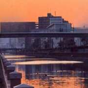 ヒメ日記 2025/02/27 19:32 投稿 椿こずえ ローテンブルク