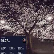 ヒメ日記 2025/03/28 21:53 投稿 椿こずえ ローテンブルク