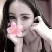 ヒメ日記 2025/04/18 21:57 投稿 椿こずえ ローテンブルク