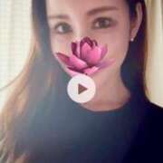 ヒメ日記 2025/04/22 11:48 投稿 椿こずえ ローテンブルク