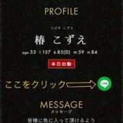 ヒメ日記 2025/05/07 12:04 投稿 椿こずえ ローテンブルク