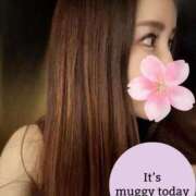 ヒメ日記 2025/06/26 09:36 投稿 椿こずえ ローテンブルク