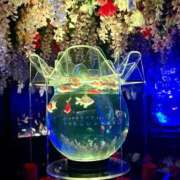 ヒメ日記 2025/07/07 22:09 投稿 椿こずえ ローテンブルク