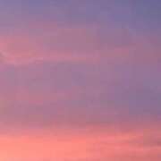 ヒメ日記 2025/07/19 20:17 投稿 椿こずえ ローテンブルク