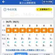 ヒメ日記 2025/07/28 06:31 投稿 椿こずえ ローテンブルク