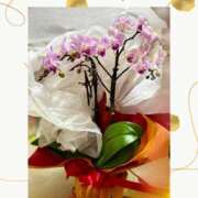 ヒメ日記 2025/09/04 23:14 投稿 椿こずえ ローテンブルク