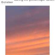 ヒメ日記 2025/10/29 20:08 投稿 椿こずえ ローテンブルク