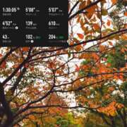 ヒメ日記 2025/11/08 15:18 投稿 椿こずえ ローテンブルク